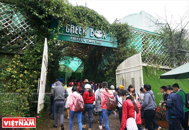 Green Box plonge les visiteurs dans un univers végétal.