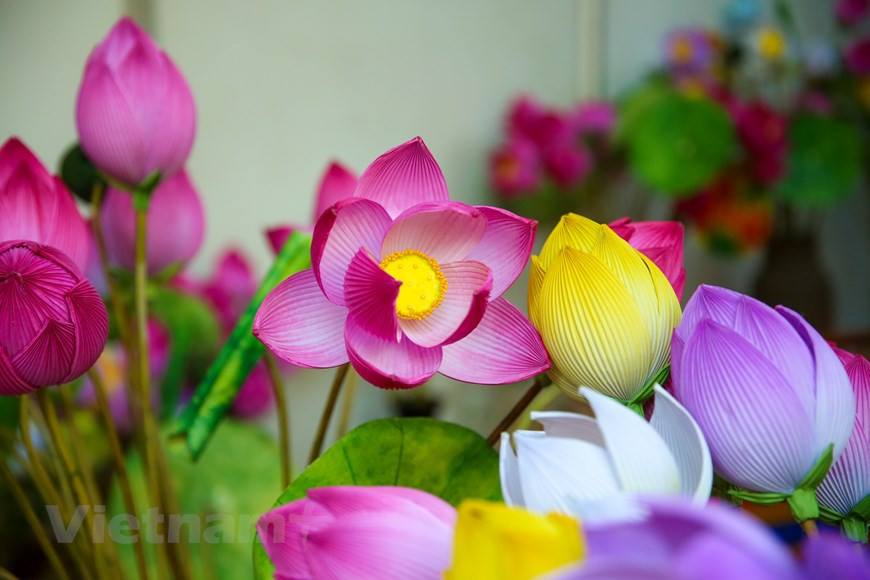 Pour remédier à cette pénurie, les villageois de Thanh Tiên fabriquent depuis des lustres des fleurs en papier. Chaque année, à la mi-octobre, les villageois sèment du riz pour la récolte d’hiver-printemps, puis commencent à faire des fleurs en papier ; et à la 2e moitié du 12e mois lunaire, des fleurs de diverses couleurs se retrouvent dans toutes les maisons. Les fleurs en papier colorés sont utilisées pour décorer dans des maisons des plusieurs localités du du pays, notamment dans celles à Huê. Elles sont utilisées aussi pour décorer l’autel bouddhiste. Les fleurs en papier montrent l'"amour pour la beauté" des gens de Huê. Photo : VietnamPlus