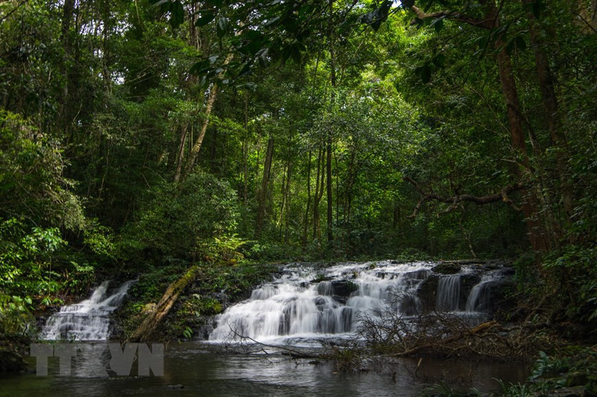 Il s’étend sur 413 511,67 ha et abrite 267 493 habitants. Photo: VNA