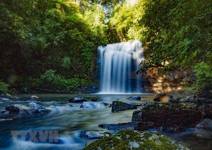La réserve comprend le parc national de Kon Ka Kinh, la réserve naturelle de Kon Chu Rang et des zones forestières s'étendant sur plusieurs districts. , ville : Dak Doa, Kbang, Mang Yang, An Khe... Photo: VNA