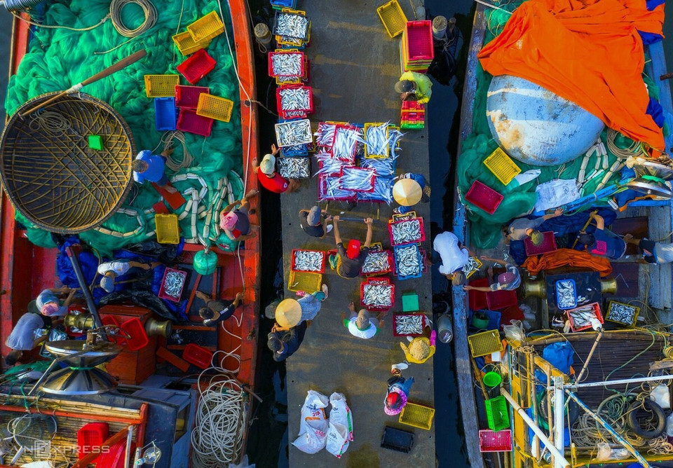 Scène animée au marché aux poissons de Duy Hai, district de Duy Xuyen, province de Quang Nam. Photo: VNA