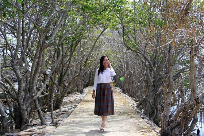 Des jeunes se rendent à la mangrove Ru Cha. Photo: VNA