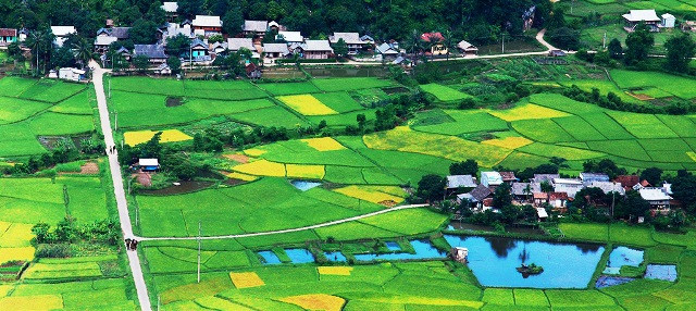 Une vie paisible, de Vân Anh. 