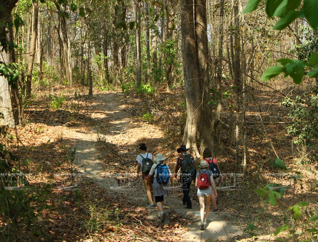 …et randonnée en forêt.