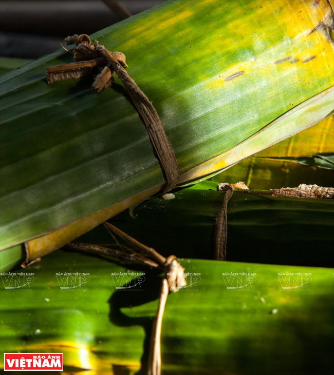 Les liens pour ficeler le "Banh tet" sont tirés du bananier. 