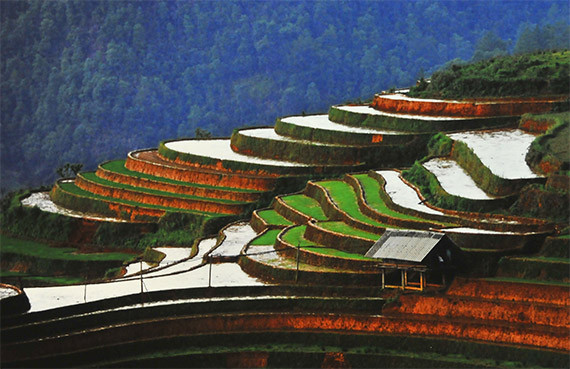 ''Cung b​ac nuoc'' (Les tons de l’eau) de Bui Van Thuong.