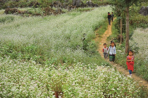 Les balades parmi les fleurs font le bonheur des enfants.