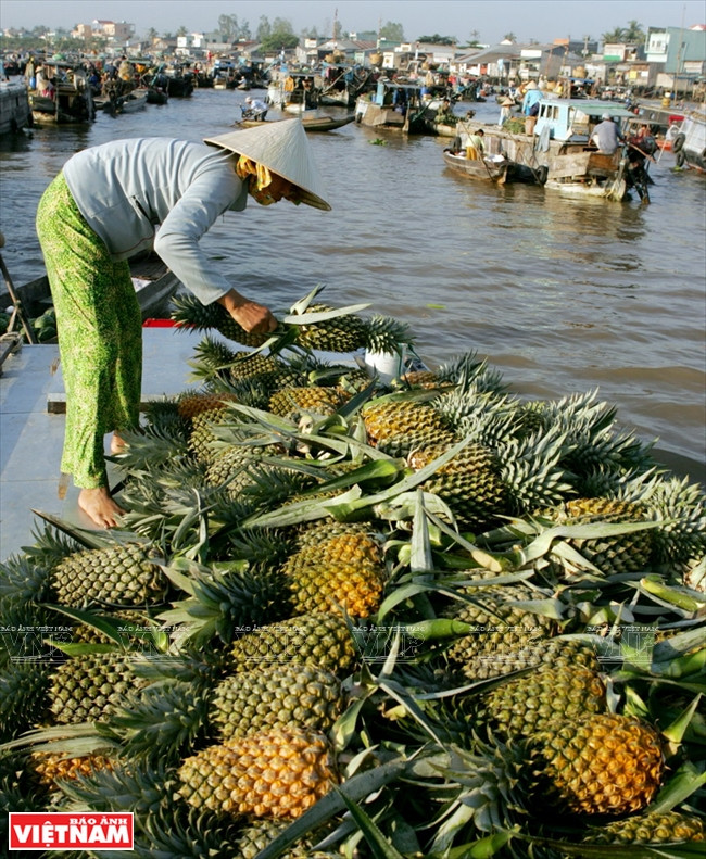 Un bateau vendant des ananas dans le marché flottant Caï Rang.