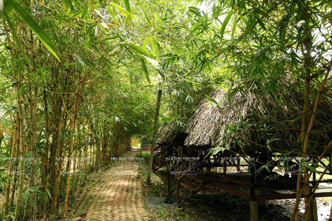 Rangées de cabanes le long des canaux.