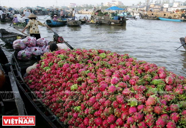 Le marché flottant Caï Rang est un marché célèbre de gros des produits agricoles dans la région du delta du Mékong.
