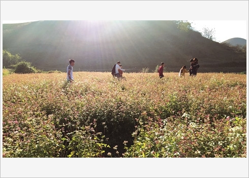 Les jeunes sont particulièrement friands de ces espaces romantiques. 