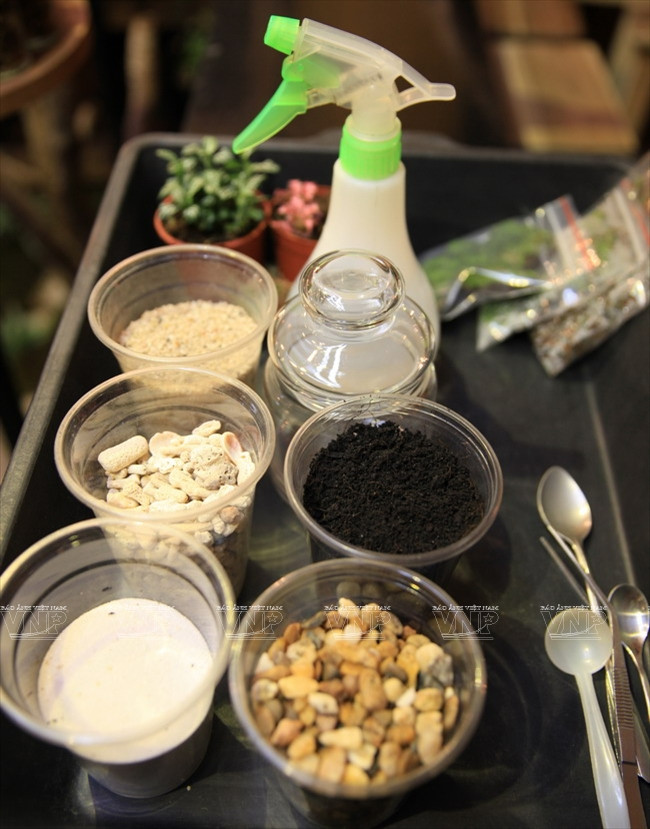 Matières premières pour un terrarium..