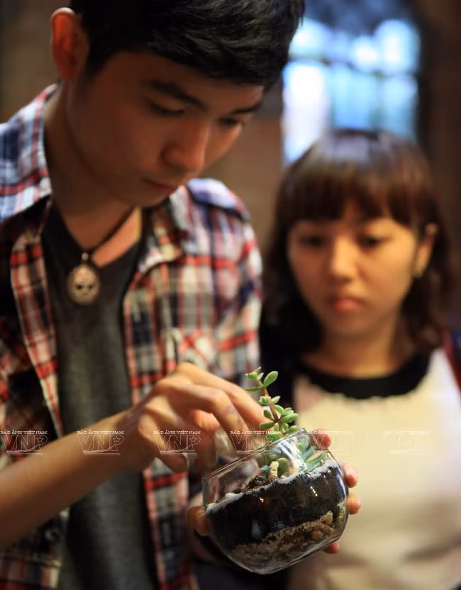 Méticulorité et habileté sont requises pour mettre en place les plantes dans un terrarium.
