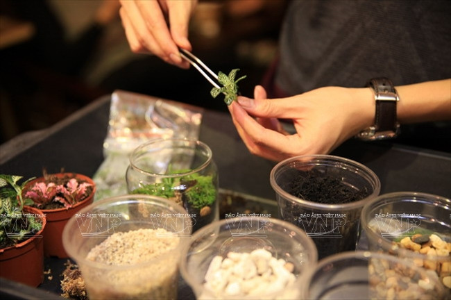 Pour les pots de petite ouverture, une pince est utilisée pour ​placer les plantes.