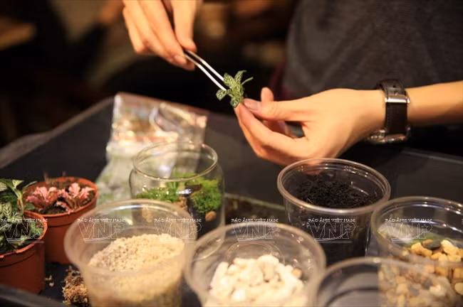 Pour les pots de petite ouverture, une pince est utilisée pour ​placer les plantes.