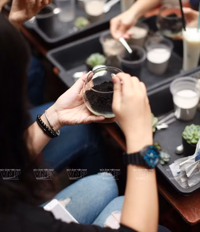 Terre achetée dans une boutique de bonsaïs pour fournir des nutriments aux plantes dans les terrariums.