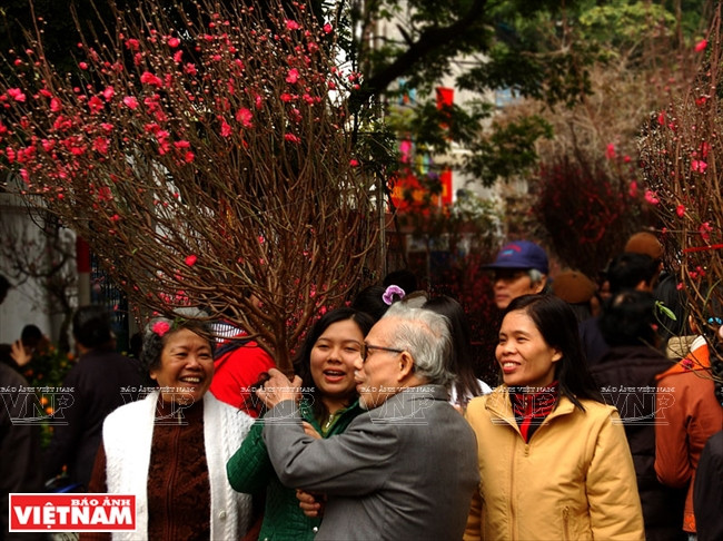 Le marché aux fleurs de Hàng Luoc à l’approche du Têt. 