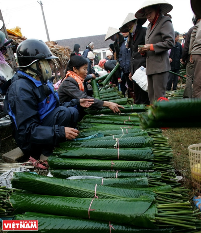 Les Lá Dong (feuilles de phrynium) pour confectionner les banh chung, aussi sont-elles indispensables dans les marchés d’avant le Têt. 