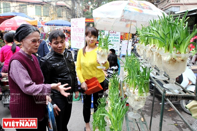 Des Hanoïens achetant des jonquilles pour le Têt. 