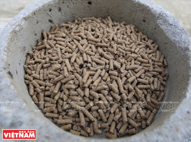 Les lapins sont nourris avec du son mélangé à des drêches de brasserie sans utiliser d’aliments industriels…