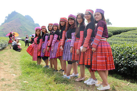 Le hameau Ang est surnommé le Dà Lat du Nord Ouest: forêts de sapins, champs de choux fleuris et climat frais et pur.
