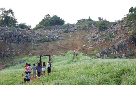 La Nature offre une quiétude totale.
