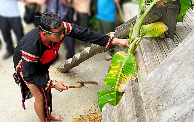 À l'escalier de la maison sur pilotis, il y a deux bananiers. Le serpe à la main, le garçon effectue le rite de la coupe de ces deux bananiers qui symbolise l'ennemi, puis il monte sur l’escalier. 