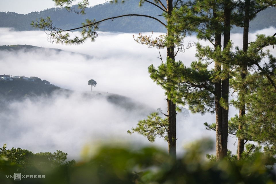 Des nuages blancs flottent sur des collines de pins à Da Sar, district du Lac Duong, à environ 20 km de Da Lat.