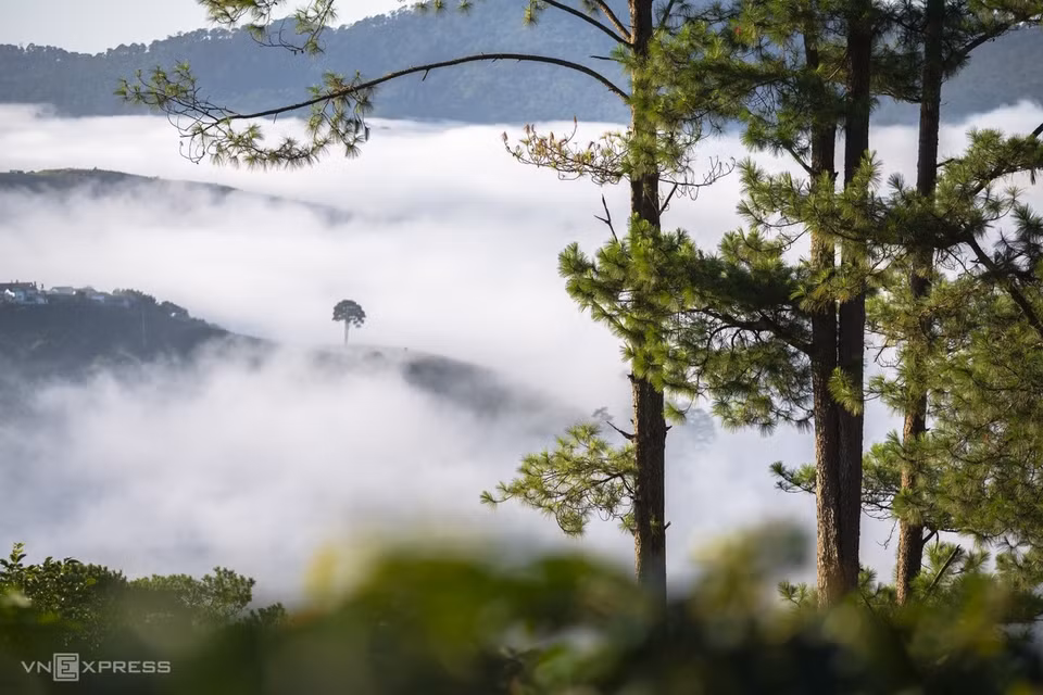 Des nuages blancs flottent sur des collines de pins à Da Sar, district du Lac Duong, à environ 20 km de Da Lat.