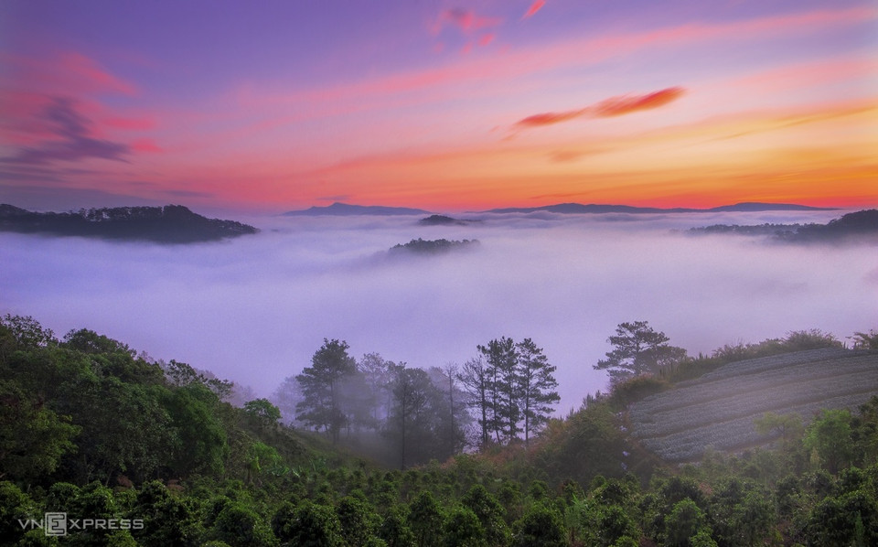 Aube sur une pinède dans le village de Tuy Son, commune de Xuan Tho.