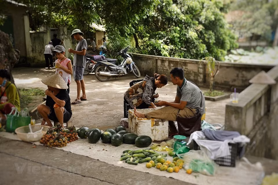 À cette occasion, une exposition de photos sur la vie du village de Cuu s’est ouverte. ''L’harmonie entre développement économique et culturel assurera un développement durable non seulement au village mais aussi à d’autres patrimoines au Vietnam. Il s’agit d’un projet prometteur qui vise à attirer des visiteurs et faire en sorte qu’ils reviennent'', a fait remarquer M. Sebastianelli. ''Nous soutenons ce projet piloté par l’architecte Quynh Chi et ses collègues, car il apportera d’énormes intérêts. Avant, les activités touristiques étaient spontanées et avaient peu d’impacts tant en termes de développement économique que de préservation du patrimoine. Ce projet devrait fortifier les valeurs de notre village'', a affirmé Nguyên Ngoc Dung, président du Comité populaire de la commune de Vân Tu. Photo: VietnamPlus