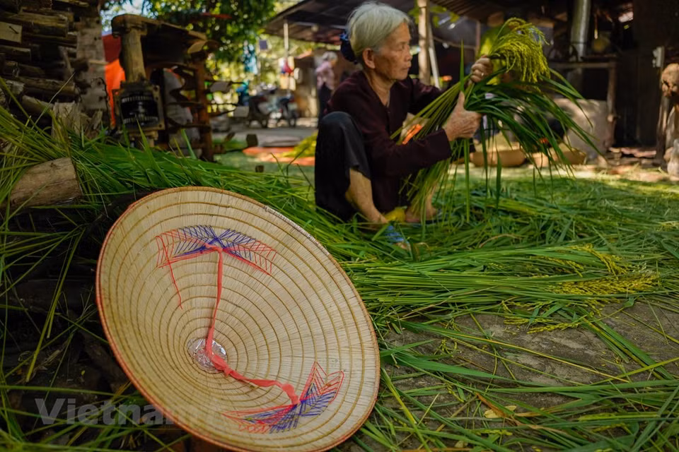 ''Le meilleur cadeau qu’un Hanoïen puisse faire parvenir à un compatriote résidant à l’étranger est un paquet de ''côm'' frais enveloppé dans une feuille de lotus au parfum légèrement âcre'', a écrit Huu Ngoc dans Le côm. Le côm est un cadeau original de la nature vietnamienne. Pour créer cette spécialité délicate, les habitants du village de Vòng de Hanoï, suivent de génération en génération la technique traditionnelle et originale, faisant du côm une partie de l’âme de Hanoï. Le côm (jeune riz gluant) est fabriqué à partir de jeunes grains de riz gluant encore verts et légèrement parfumés. Les villageois de Vòng décortiquent tout d’abord ces grains, ensuite les vannent pour éliminer ceux qui sont creux. Photo: VietnamPlus