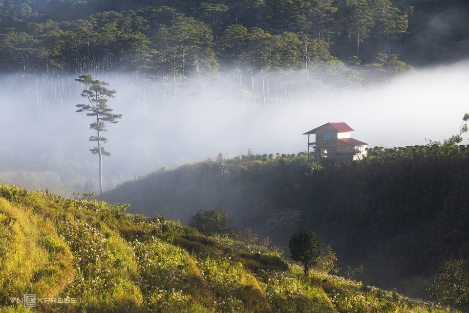 Collines herbeuses dans la brume à Da Nhim, à environ 40 km à l'Est de Da Lat.