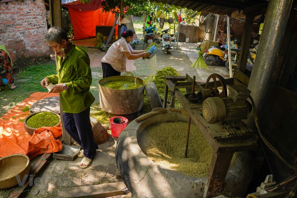 Pour les hanoïens, le côm (riz gluant jeune en granules aplatis) est un cadeau particulier de l’automne. Le village de Mê Tri dans l’arrondissement de Nam Tu Liêm, à Hanoï, est spécialisé depuis des siècles dans cette spécialité. Ces jours-ci, le village de Mê Tri, est empli du son du pilon battant du côm et du doux parfum de ce plat. Chaque année, des villageois de Mê Tri produisent le côm selon le calendrier des riziculteurs: entre les deuxième et quatrième mois lunaires et entre les septième et dixième mois lunaires. Après le confinement, les villageois de Mê Tri ont repris sa production. Depuis des siècles, le procédé de production reste le même. Photo: VietnamPlus