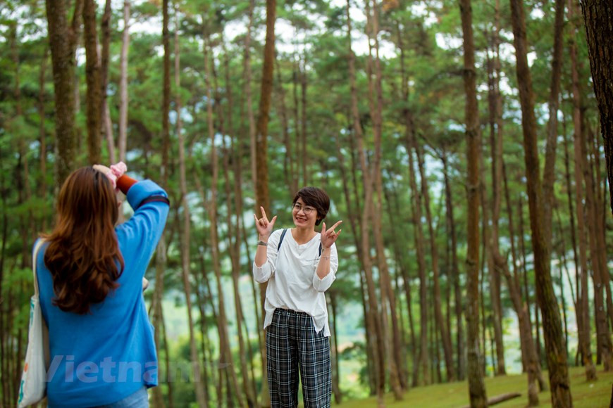  Le tourisme est considéré comme un point lumineux dans le développement socioéconomique de la province de Ha Giang en 2019. De nombreux événements ont été organisés afin d’attirer des touristes comme la Semaine culturelle et touristique des rizières en terrasse de Hoang Su Phi, la Fête des fleurs de sarrasin. En 2019, la reconnaissance du parc géologique du plateau calcaire de Dong Van en tant que géoparc mondial de l’UNESCO revêt une grande signification, contribuant ainsi à stimuler le développement touristique de Ha Giang. Les autorités locales ont aussi organisé de nombreuses activités de promotion du tourisme dans de nombreux salons du tourisme internationaux prestigieux dans et hors du pays. Ha Giang est devenu actuellement un des centres touristiques du Vietnam. Photo : Vietnamplus