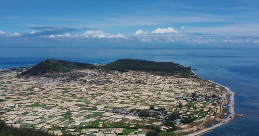  À 15 milles marins du continent (environ 27 km), l’île de Ly Son est le seul district insulaire de la province de Quang Ngai (Centre). Elle comprend Dao Lon (Grande île), Dao Be (Petite île) et l'îlot de Mu Cu. Malgré sa petite superficie, Ly Son possède de belles plages de sable blanc et fin, entourées de magnifiques falaises volcaniques. Avec ses roches volcaniques, sa mer bleue et ses immenses champs d'ail, l'île de Ly Son est un endroit que tout le monde souhaite visiter au moins une fois dans sa vie. En plus de la pêche, l'île est également réputée pour ses nombreux produits agricoles comme l’ail à une seule gousse et de l’oignon. Photo: Vietnamplus