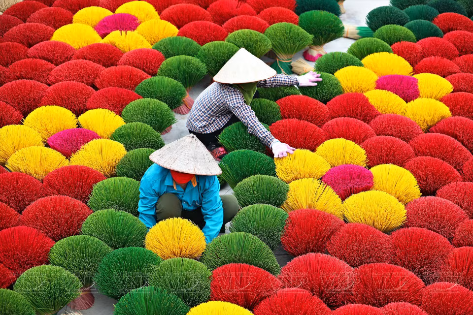 Si le touriste vient au village un jour ensoleillé, il verra des artisans étaler des bouquets de bâtonnets d’encens pour les sécher. Les bouquets de grande taille, de couleur rouge et jaune vives, les couleurs de la chance selon la conception orientale, ressemblent à des bouquets de fleurs géantes, parsemés dans les cours des maisons ou le long des rues. Photo: VNA 