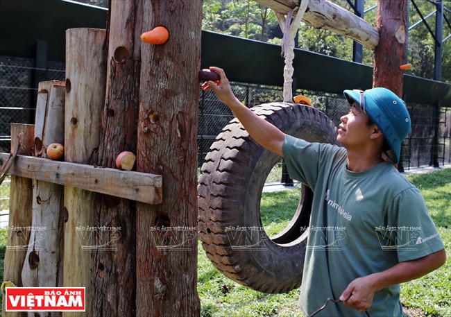 Les aliments sont cachés pour rendre la recherche de la nourriture plus ludique.
