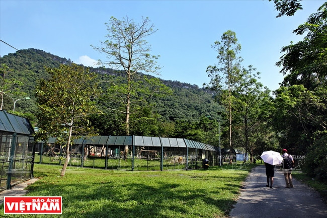 Situé dans la zone tampon du Parc national de Tam Dao, le Centre de secours des ours du Vietnam, en service depuis avril 2008, couvre 1,2 ha. Il a nécessité plus de 3,3 millions de dollars d’investissement.