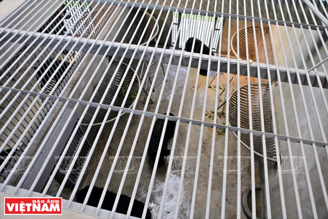 Chaque cage est entièrement équipée, comme un «hôtel» pour animaux. Le personnel a aménagé les enclos pour que les ours puissent faire la sieste, grimper ou se balancer.