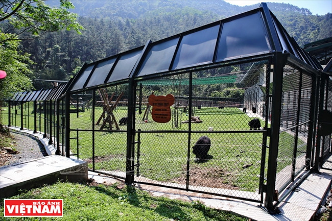 Les zones semi-naturelles couvrent plus de 5600 m²