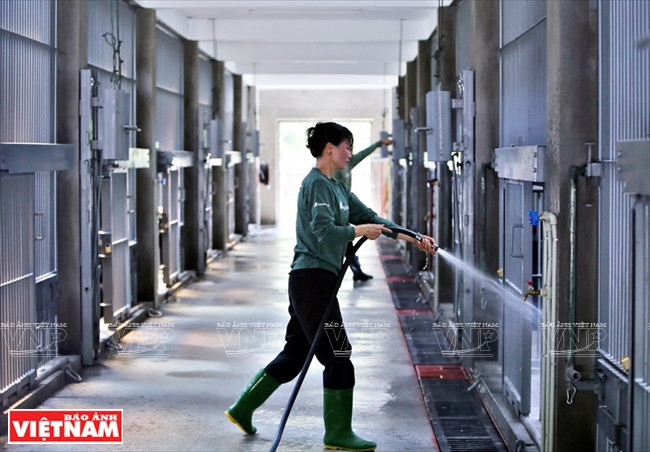 Lavage des abris des ours lorsqu’ils vont manger ailleurs.