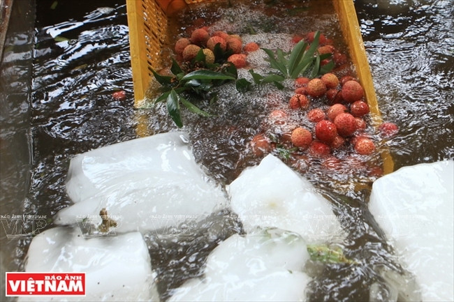 Les litchis sont immergés dans de l’eau glacée pour garder leur saveur à long terme.