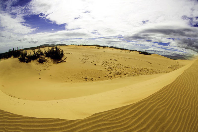 Au loin, la dune ressemble aux vagues ondulant sur la mer.