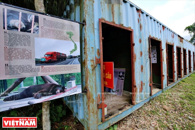 Le 19 janvier 2010, l’AAF a sauvé 19 ours en captivité que le propriétaire a été obligé de livrer car il ne pouvait répondre aux exigences de gestion des ours en captivité. En image: l'un des trois conteneurs servant d’abris pour l’élevage illégal des ours exposé au Centre de sauvetage des ours.