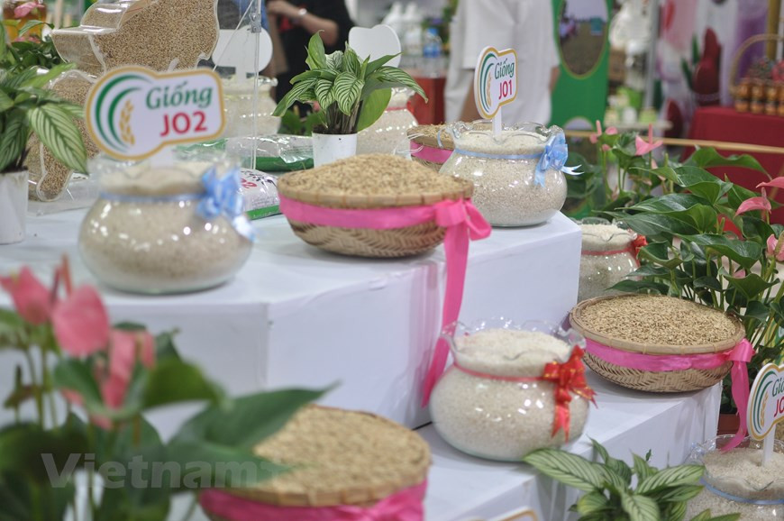  Le riz vietnamien est présenté lors de ce festival. 
