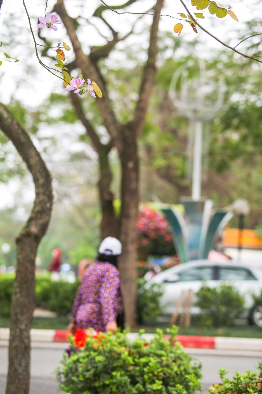  Photo: The Dai/Vietnamplus