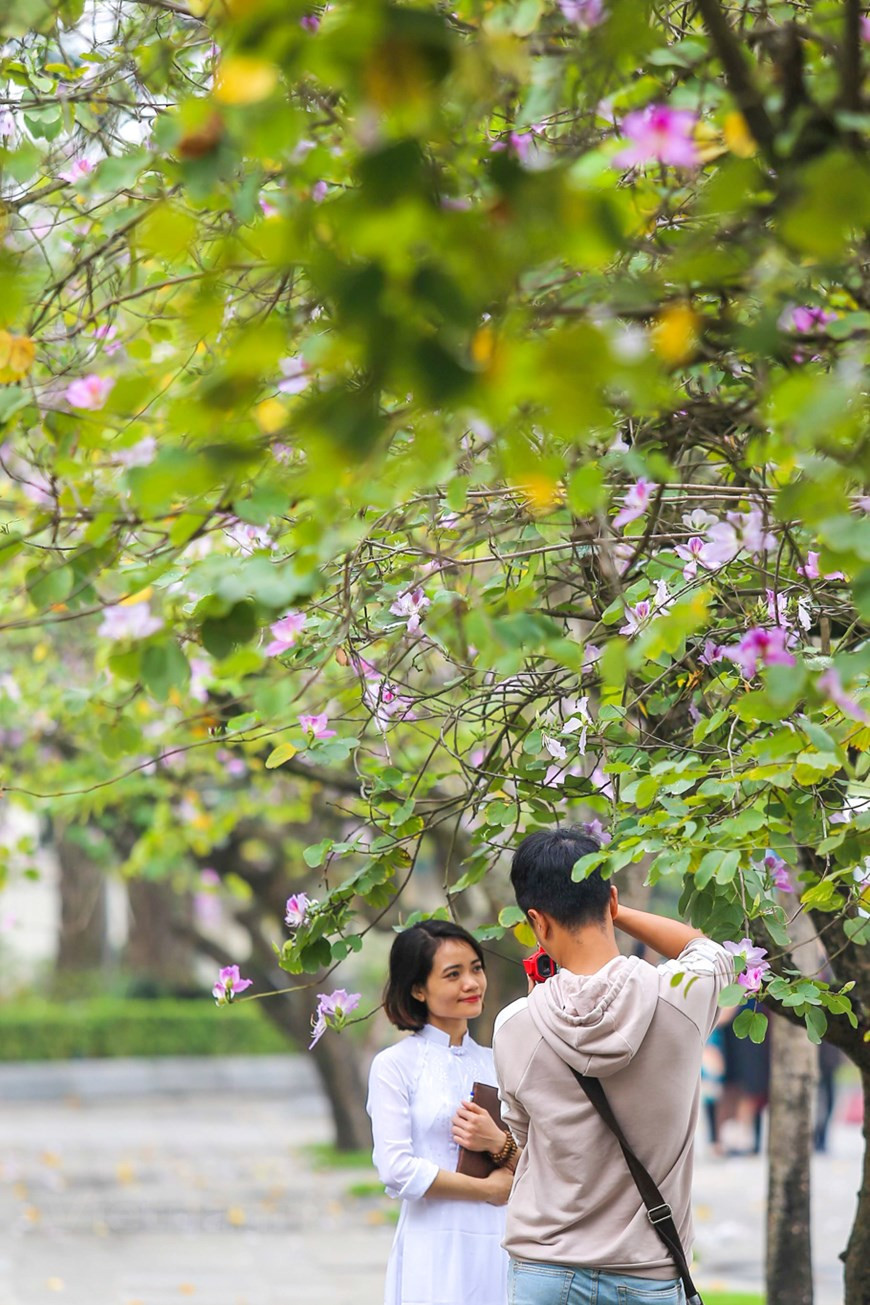  Photo: The Dai/Vietnamplus