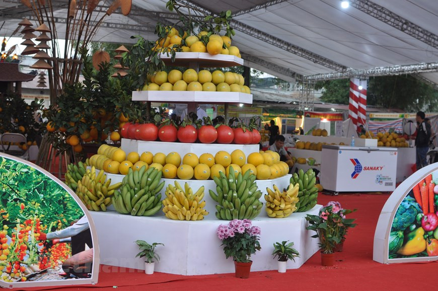  Une grande variété de fruits sont présentés au public.