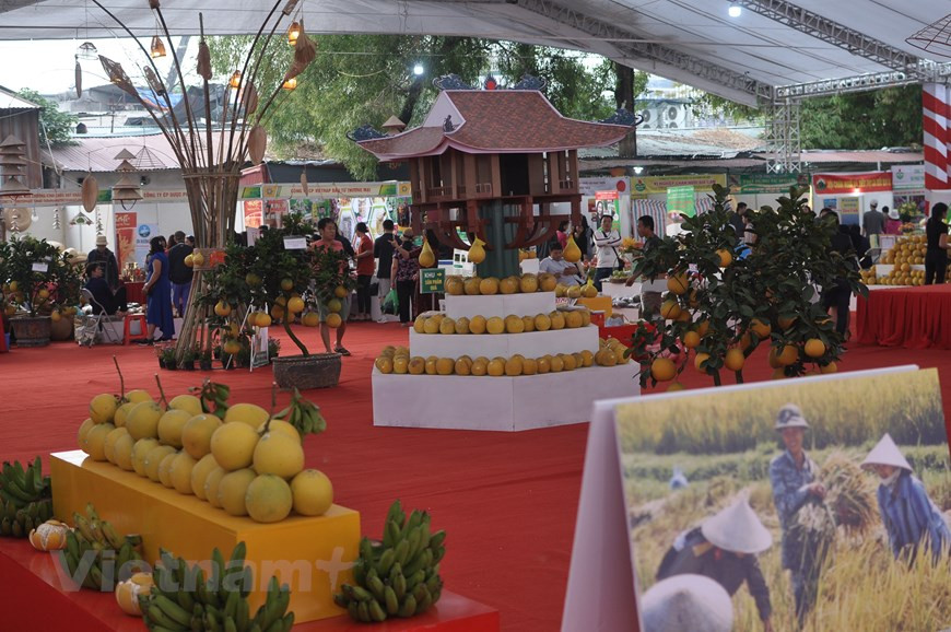  Une grande variété de fruits sont présentés au public.